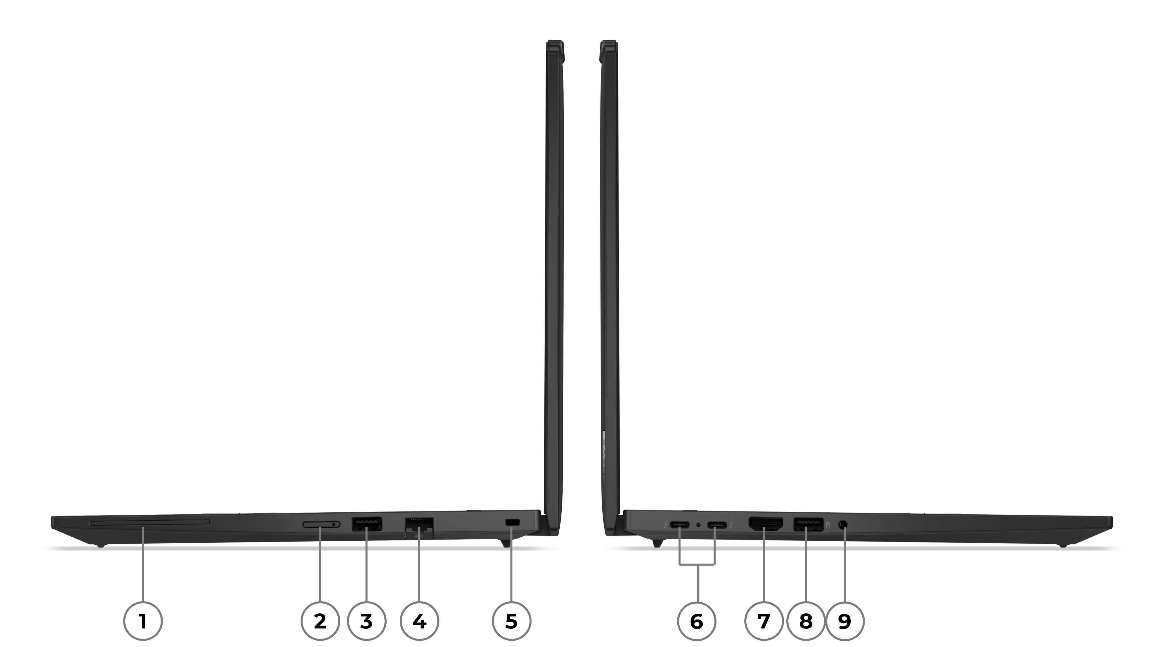 Beschreibung des Bildes